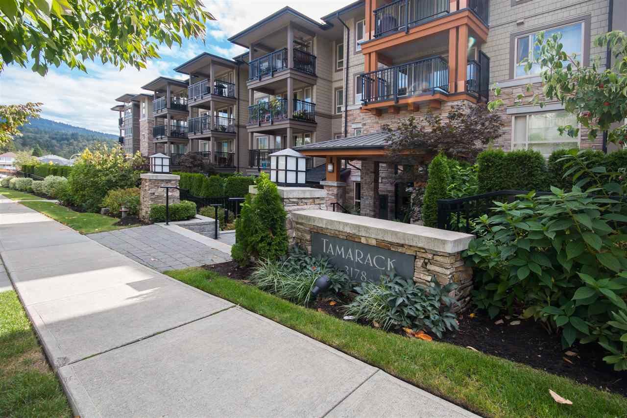 Main Photo: 217 3178 DAYANEE SPRINGS BL in Coquitlam: Westwood Plateau Condo for sale in "DAYANEE SPRINGS BY POLYGON" : MLS®# R2107496