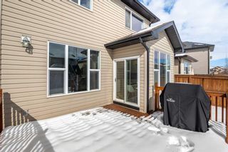 Photo 39: 144 Brightoncrest Manor SE in Calgary: New Brighton Detached for sale : MLS®# A2118191