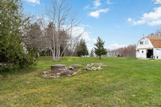 Photo 7: 7081 Highway 101 in Plympton: Digby County Residential for sale (Annapolis Valley)  : MLS®# 202307259