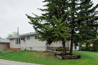 Photo 31: 527 MURPHY Place NE in Calgary: Mayland Heights Detached for sale : MLS®# C4297429
