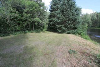 Photo 23: 300 Pinery Road in Kawartha Lakes: Rural Somerville Property for sale : MLS®# X4840235