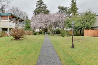 Photo 10: 2645 WESTVIEW Drive in North Vancouver: Upper Lonsdale Townhouse for sale in "Cypress Gardens" : MLS®# R2759410