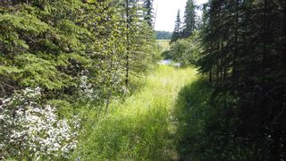 Photo 36: 5-31539 Rge Rd 53c: Rural Mountain View County Land for sale : MLS®# A1024431