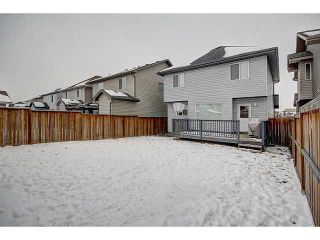 Photo 20: 56 PRESTWICK Close SE in Calgary: McKenzie Towne Residential Detached Single Family for sale : MLS®# C3652388