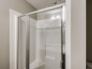 Photo 29: 207 7 Westpark Common SW in Calgary: West Springs Apartment for sale : MLS®# A1212619
