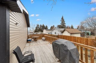 Photo 23: 452 Spring Haven Court SE: Airdrie Detached for sale : MLS®# A2039205