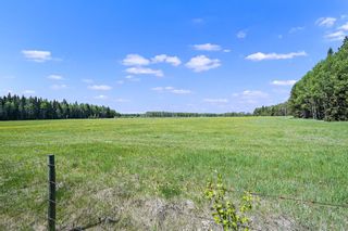 Photo 12: 5212 Township Road 312: Rural Mountain View County Residential Land for sale : MLS®# A1219602