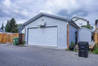 Photo 13: 391 Mt Apex Green SE in Calgary: McKenzie Lake Detached for sale : MLS®# A1233573