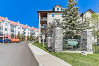 Photo 16: 1411 8810 Royal Birch Boulevard NW in Calgary: Royal Oak Apartment for sale : MLS®# A2069765