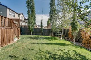Photo 26: 19 COPPERLEAF Crescent SE in Calgary: Copperfield Detached for sale : MLS®# A1022410
