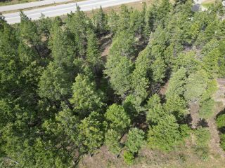 Photo 11: Lot 6 EMERALD EAST FRONTAGE ROAD in Windermere: Vacant Land for sale : MLS®# 2467175