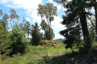 Photo 18: Lot 34 Goldstream Heights Dr in Shawnigan Lake: ML Shawnigan Land for sale (Malahat & Area)  : MLS®# 878268