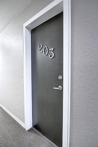Photo 25: 203 809 4 Street NE in Calgary: Renfrew Apartment for sale : MLS®# A2118564
