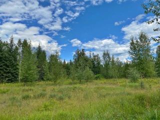 Photo 74: 5920 WIKKI-UP CREEK FS ROAD: Barriere House for sale (North East)  : MLS®# 174246