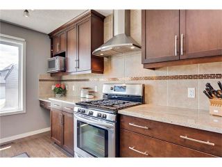 Photo 12: 45 SAGE BANK Grove NW in Calgary: Sage Hill House for sale : MLS®# C4069794
