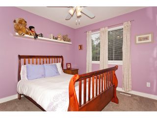 Photo 8: 23694 KANAKA Way in Maple Ridge: Cottonwood MR House for sale : MLS®# V901228
