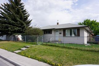 Photo 36: 2402 47 Street SE in Calgary: Forest Lawn Detached for sale : MLS®# A1179897