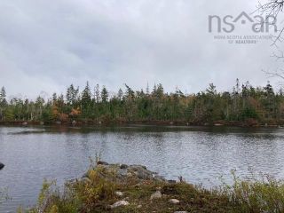 Photo 9: 53 Bridges Lane in River Lake: 35-Halifax County East Vacant Land for sale (Halifax-Dartmouth)  : MLS®# 202224020
