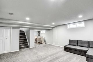Photo 34: 116 Bridlewood Circle SW in Calgary: Bridlewood Detached for sale : MLS®# A2118131