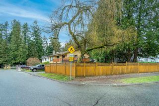 Photo 4: 4682 197 Street in Langley: Langley City House for sale : MLS®# R2655112