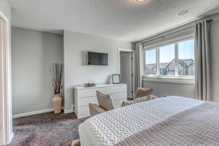 Photo 20: 41 Masters Crescent SE in Calgary: Mahogany Detached for sale : MLS®# A1252819