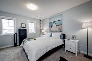 Photo 19: 100 Copperpond Rise SE in Calgary: Copperfield Detached for sale : MLS®# C4197358