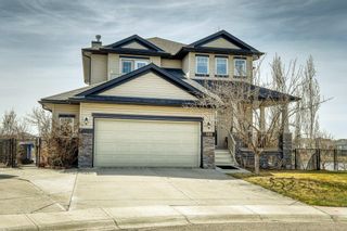 Photo 1: 160 West Creek Court: Chestermere Detached for sale : MLS®# A2041300