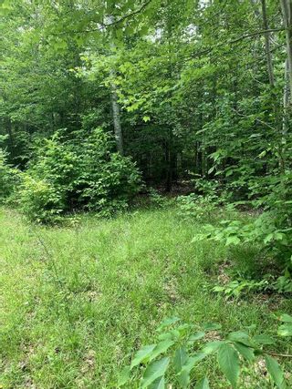 Photo 4: Victory Road in Victory: Annapolis County Vacant Land for sale (Annapolis Valley)  : MLS®# 202225688