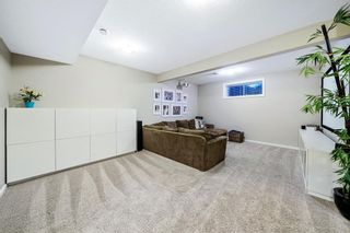 Photo 36: 23 Marquis Green SE in Calgary: Mahogany Detached for sale : MLS®# A2052556