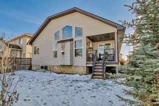 Photo 37: 173 HAWKMERE Close: Chestermere Detached for sale : MLS®# A2025431