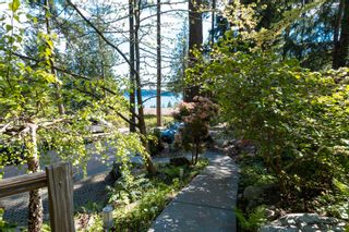 Photo 6: REED ROAD in Gibsons: Gibsons & Area Land for sale (Sunshine Coast)  : MLS®# R2883534