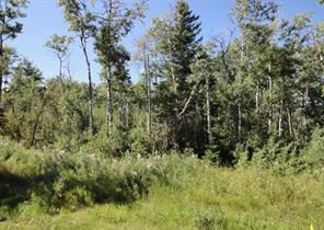 Photo 4: 122 Wolf Run Drive: Rural Ponoka County Residential Land for sale : MLS®# A2032926