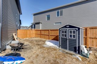 Photo 35: 240 Nolanhurst Place NW in Calgary: Nolan Hill Detached for sale : MLS®# A2036154