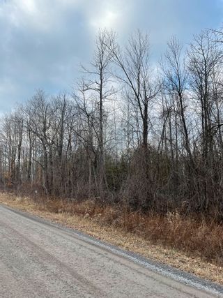 Photo 8: 2819 Cowell  Road: North Gower Vacant Land for sale (Ottawa)  : MLS®# 1369947