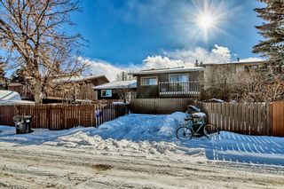 Photo 38: 533 Aboyne Crescent NE in Calgary: Abbeydale Semi Detached (Half Duplex) for sale : MLS®# A2028158