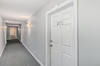 Photo 21: 201 417 3 Avenue NE in Calgary: Crescent Heights Apartment for sale : MLS®# A2024145