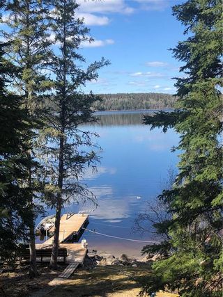 Photo 1: 9 Block 3 Road in Nopiming Provincial Park: Bird Lake Residential for sale (R28)  : MLS®# 202402300