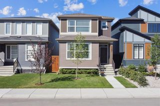 Photo 43: 127 Wolf Creek Manor SE in Calgary: C-281 Detached for sale : MLS®# A2002686