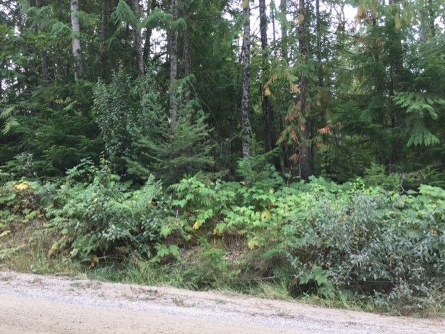 Main Photo: Lot 9 Mountain Drive in Anglemont: North Shuswap Land Only for sale (Shuswap)  : MLS®# 10158352