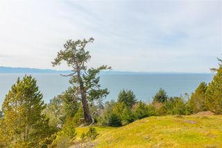 Photo 39: 7450 Thornton Hts in Sooke: Sk Silver Spray House for sale : MLS®# 836511