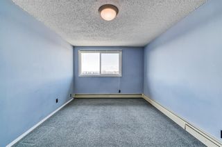 Photo 12: 301 280 Banister Drive Tower Hill Okotoks Alberta T0L 1T1 Home For Sale CREB MLS A1213387