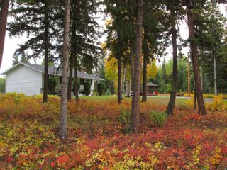Photo 24: 4059 AIRD Road in Quesnel: Quesnel - Rural North House for sale in "4 Mile Hill" : MLS®# R2685124