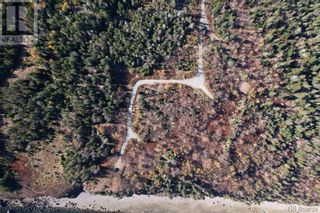 Photo 6: -- Whistle Road in Grand Manan: Vacant Land for sale : MLS®# NB082535