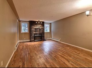 Photo 7: 103 2419 Erlton Road SW in Calgary: Erlton Apartment for sale : MLS®# A1226256