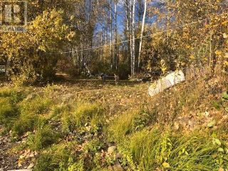 Photo 8: LOT B MOOSEHORN ROAD in Burns Lake: Vacant Land for sale : MLS®# R2731680