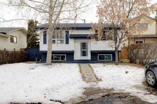Photo 29: 36 Falchurch Crescent NE in Calgary: Falconridge Detached for sale : MLS®# A2013040