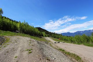 Photo 3: Lot 4 Rose Crescent: Eagle Bay Land Only for sale (South Shuswap)  : MLS®# 10187971