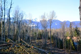 Photo 15: DL 811 16 Highway in New Hazelton: Hazelton Land for sale in "New Hazelton @ Carnaby" (Smithers And Area (Zone 54))  : MLS®# R2679366