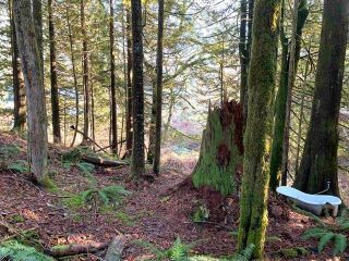 Photo 12: 9 36264 HARTLEY Road in Mission: Durieu Land for sale in "ALLAN LAKE" : MLS®# R2760959