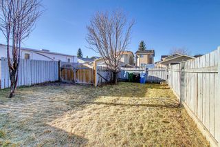 Photo 44: 80 Martinbrook Road NE in Calgary: Martindale Detached for sale : MLS®# A1162744